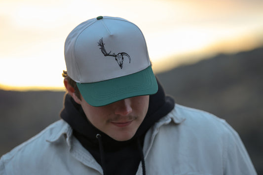 Half Buck Half Bull Ready to Roll! Westrek Cattle Co.