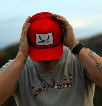 Elk Antler Flag Gray Tee