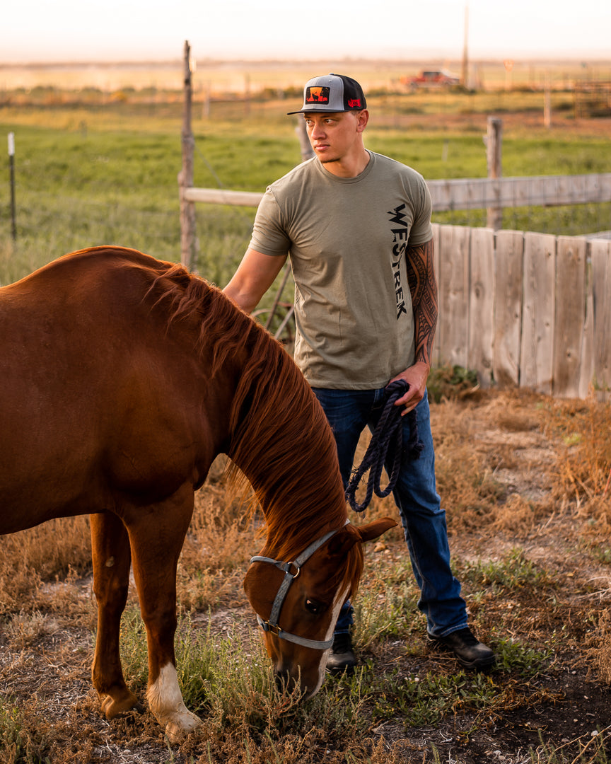 Heather Grey Sunset Elk Hat